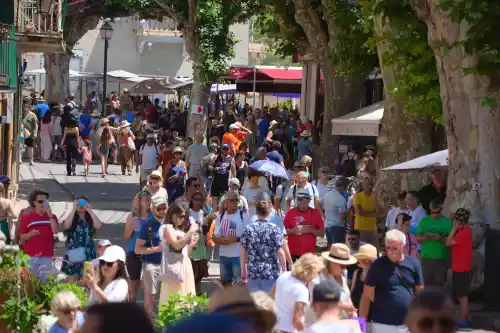 Fête de la lavande de valensole en 2023