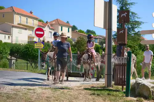 Promenade avec des ânes pour les pitchoun