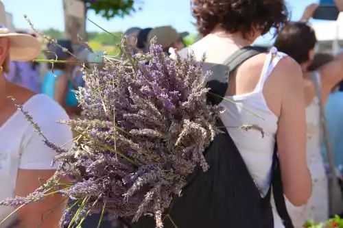 de la lavande plein le sac