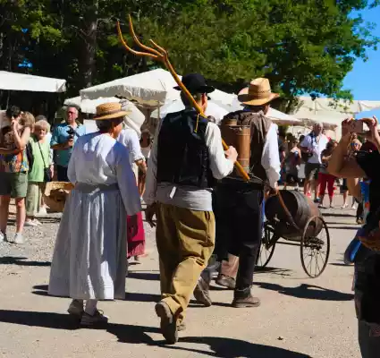 défilé folklorique à la fete de la lavande de Sault