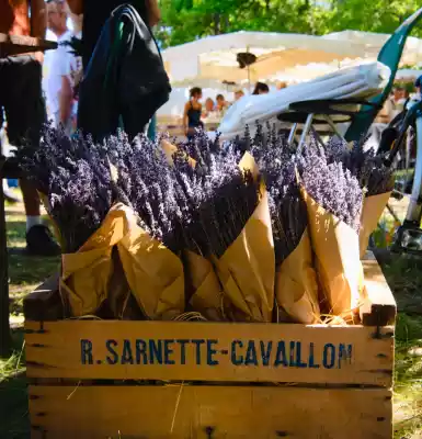 Bouquets de lavande