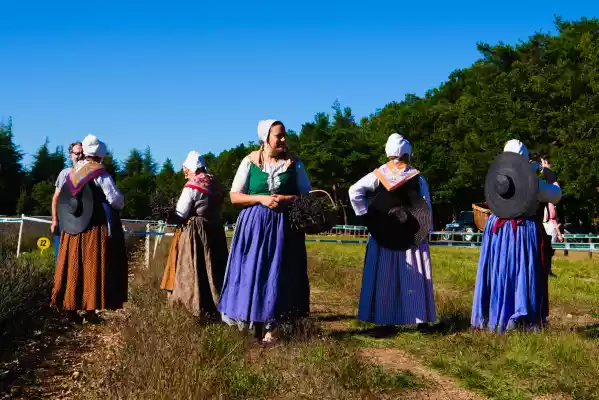 Troupe folklorique provençale à la fête de la lavande 2018 de Sault