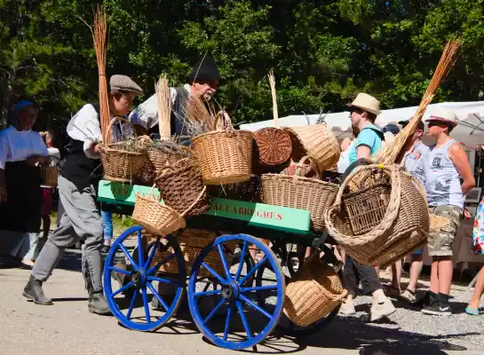 défilé folklorique à la fete de la lavande de Sault