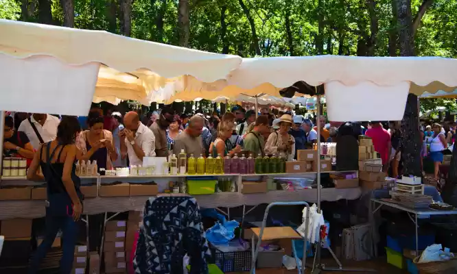 Marché de produits à la lavande à Sault en Provence