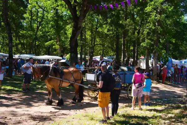 défilé d'attelages à Sault