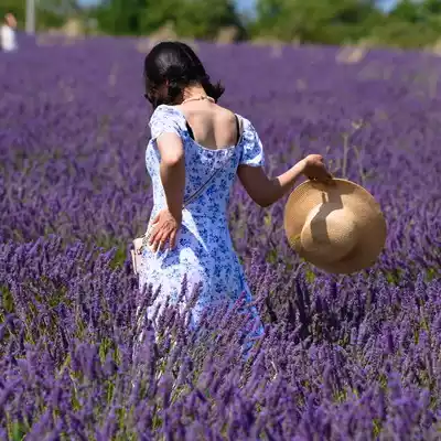 Fête de la lavande de Valensole - pose dans un champ de lavande