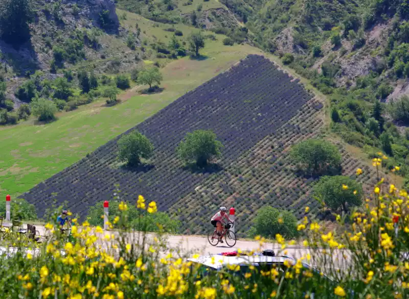 Randonnée des lavandes cyclo